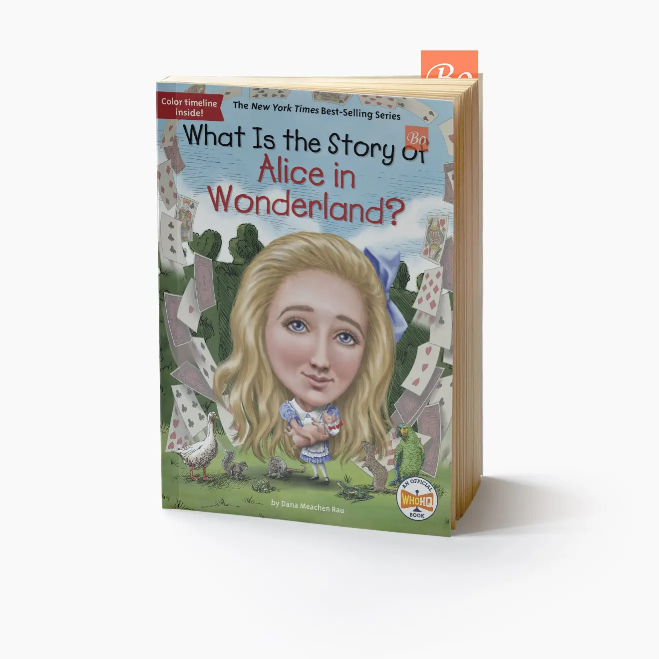 What Is the Story of 系列