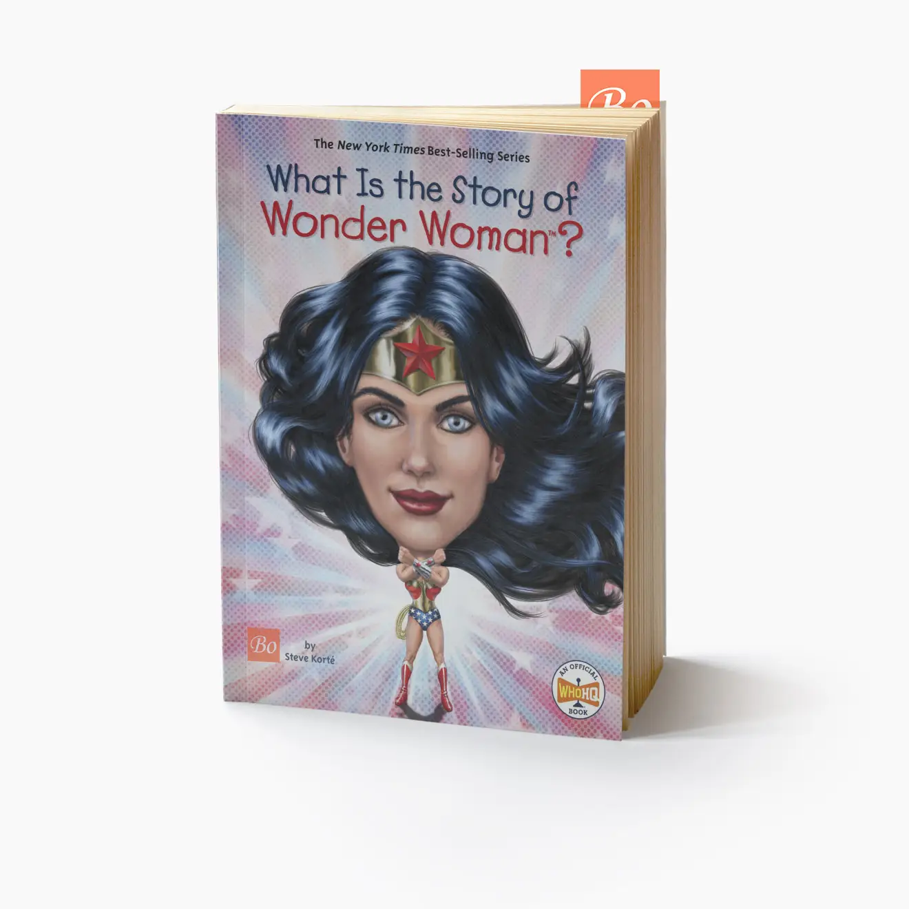 What Is the Story of 系列