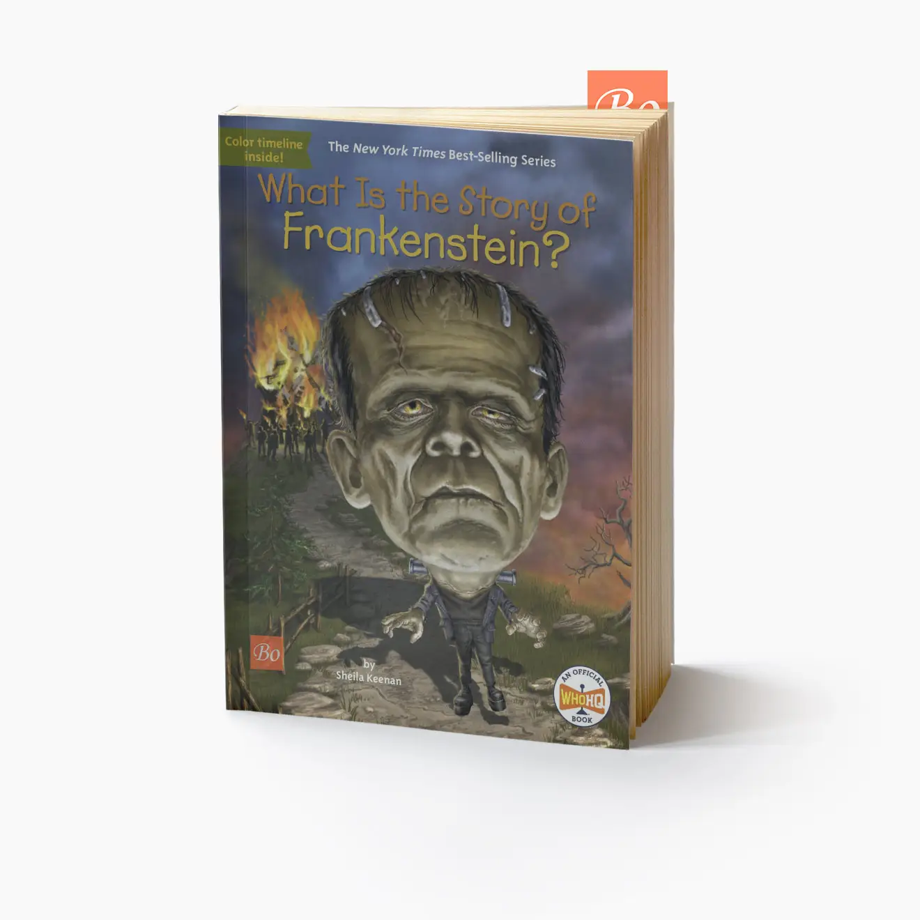 What Is the Story of 系列