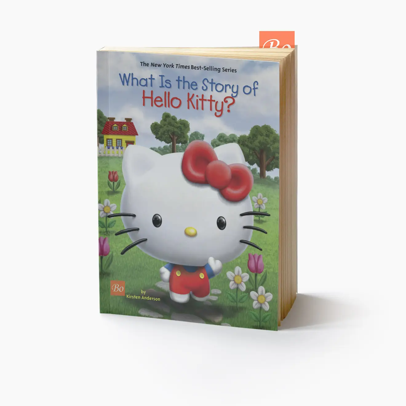 What Is the Story of 系列