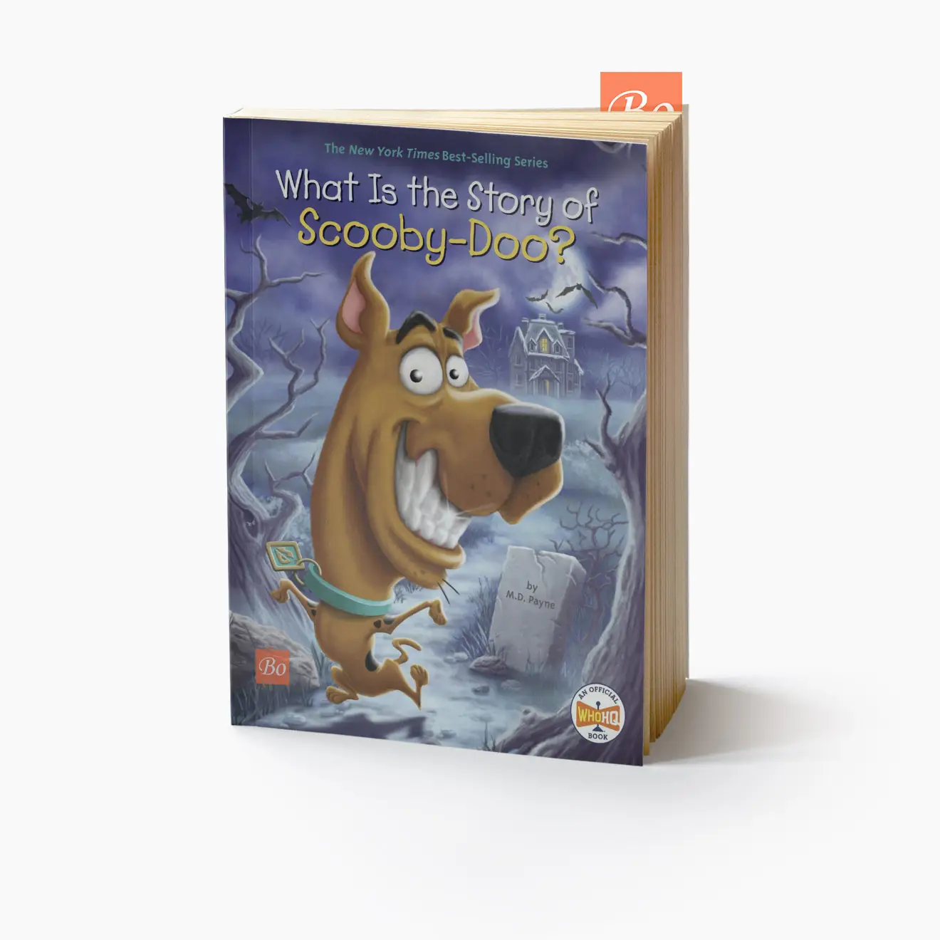 What Is the Story of 系列