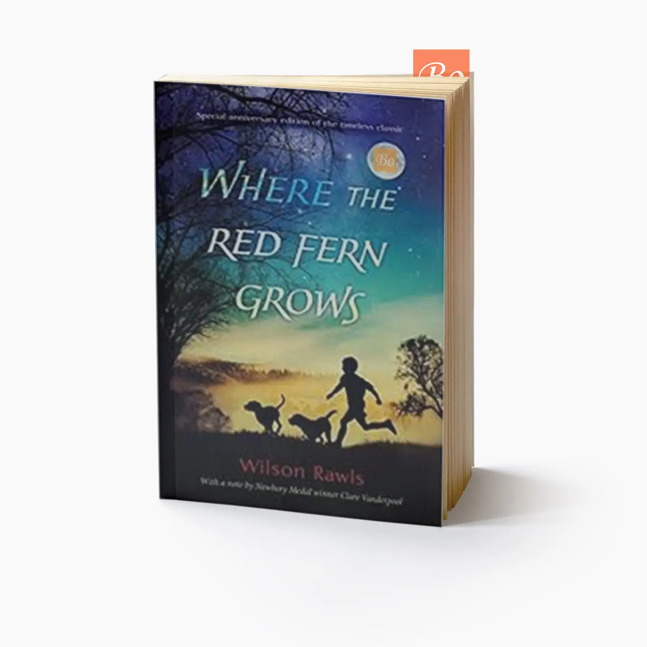 红色羊齿草的故乡 Where The Red Fern Grows