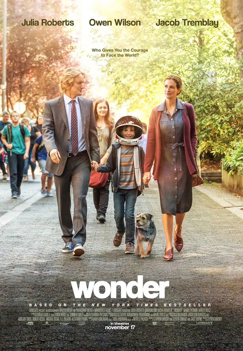 Wonder-v.webp