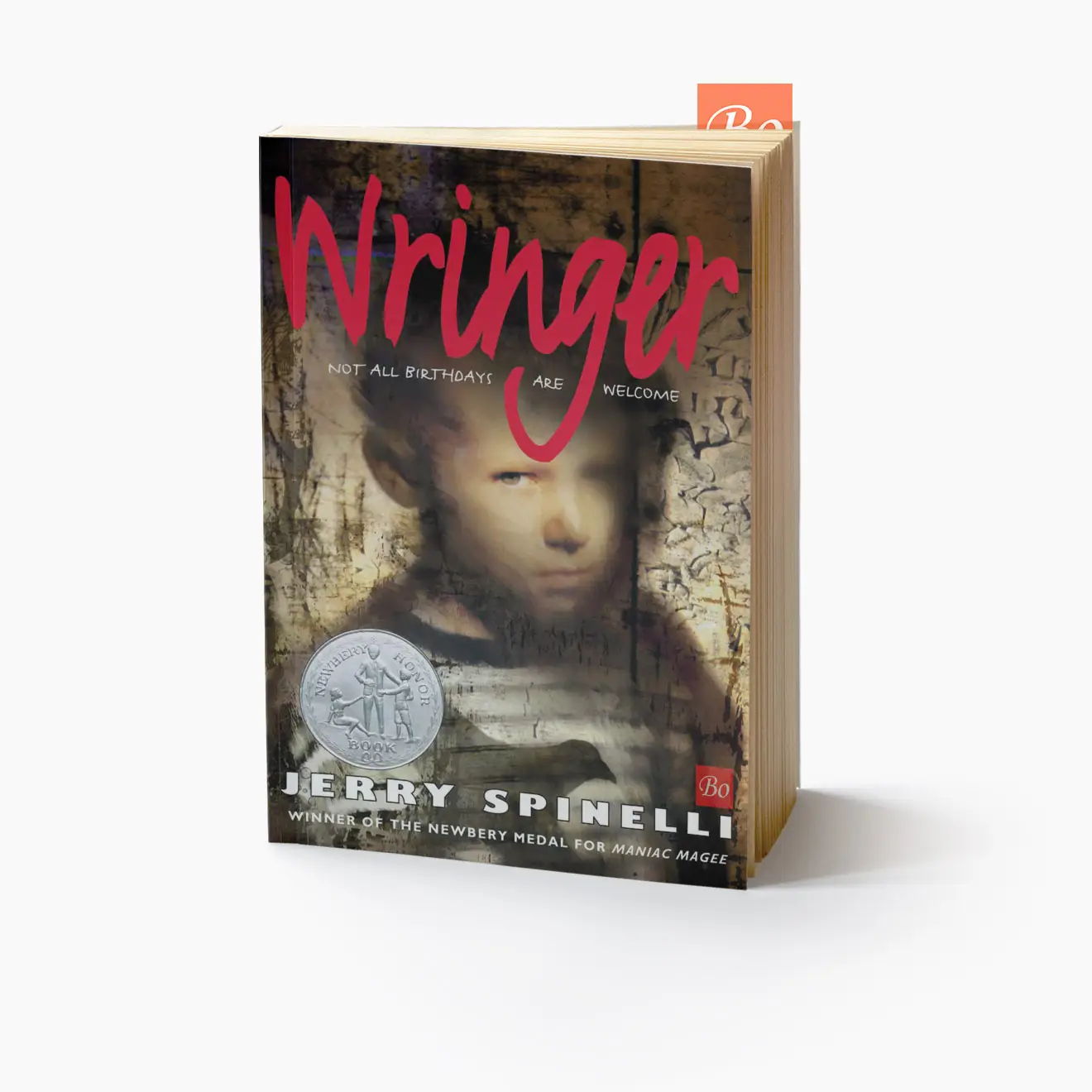 波马的秘密 Wringer