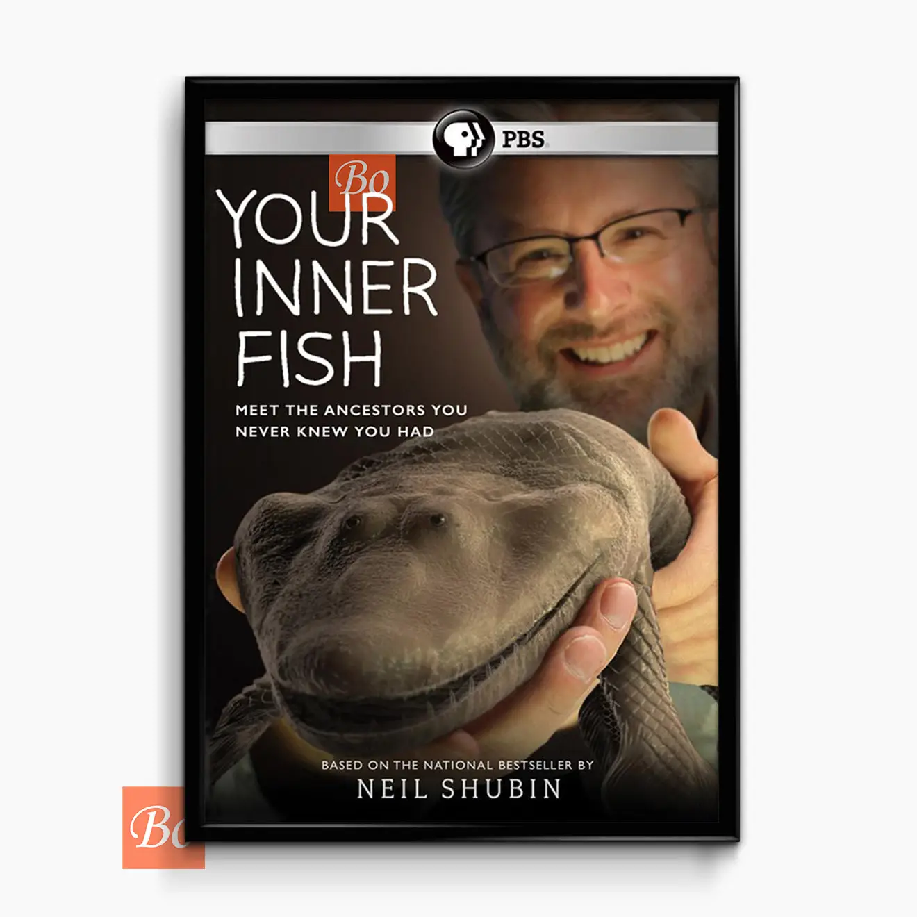 你是怎么来的 Your Inner Fish PBS纪录片 (2014)