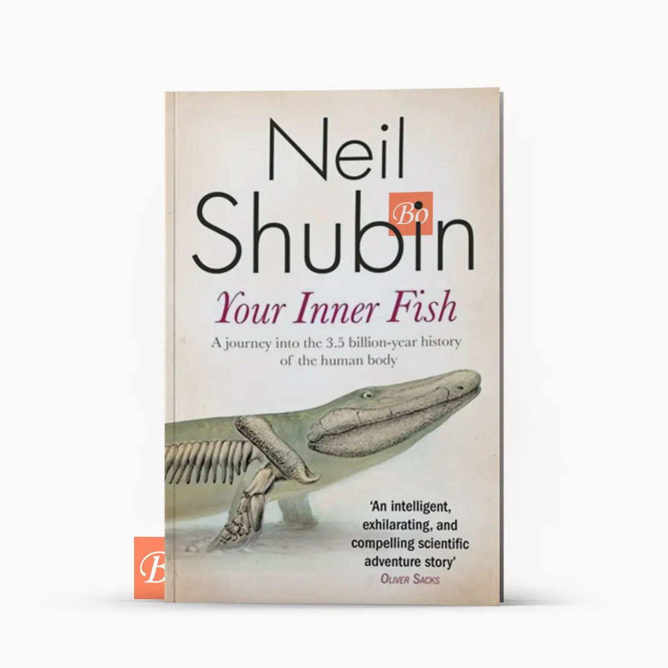 你是怎么来的 Your Inner Fish