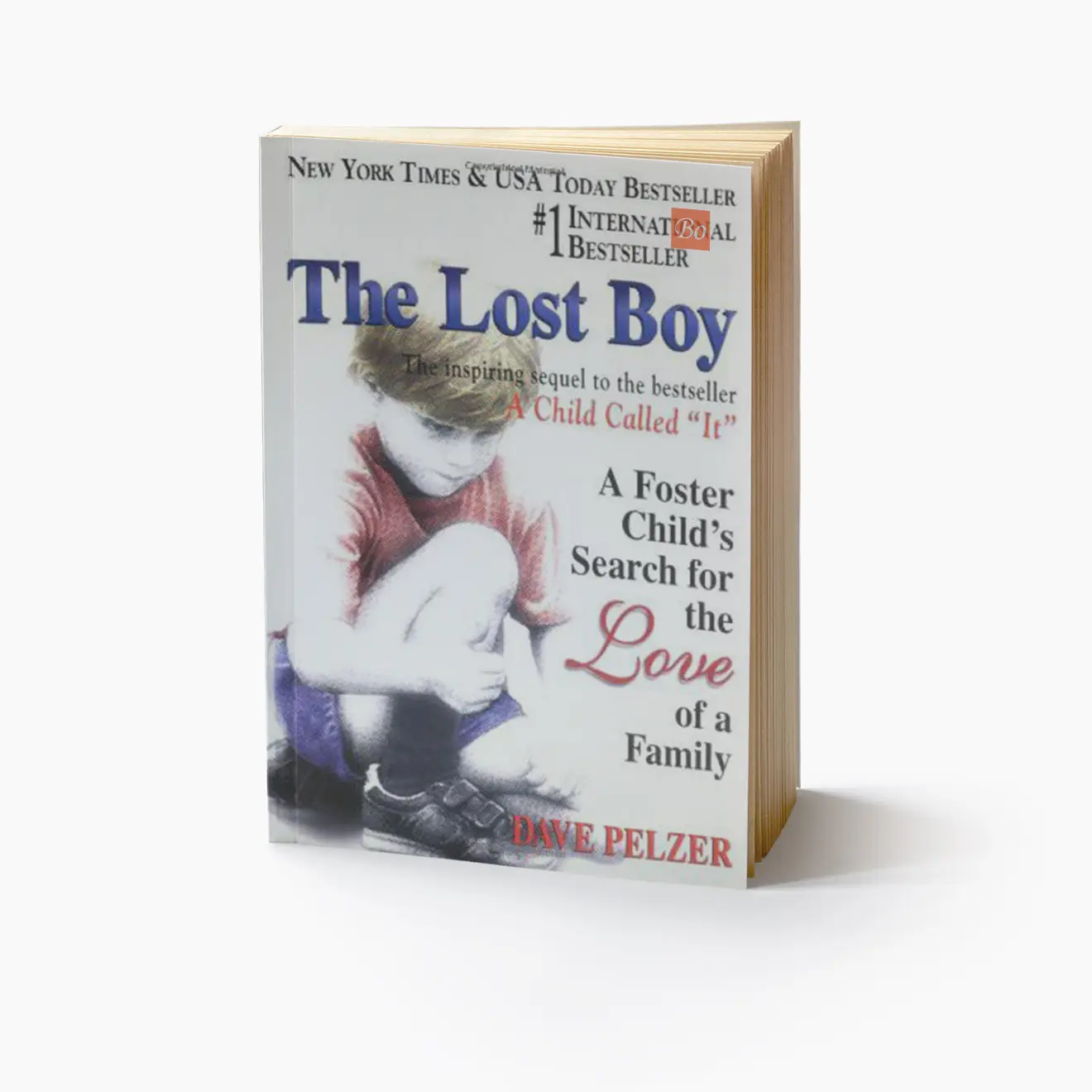 the Lost Boy: A Foster Child’s Search for the Love of a Family